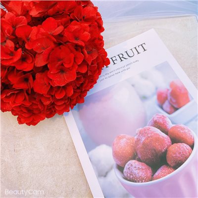 盒裝 永生繡球 花材類